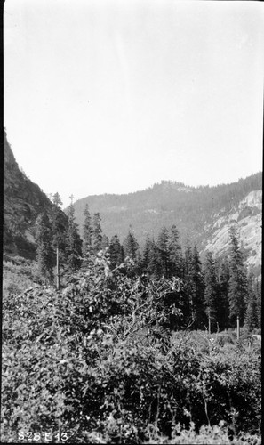 High Sierra Trail Investigation, west down Deer Creek Valley 6600' contour at foot of Slick Rock