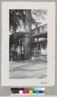 The big ponderosa pine on the Kirkwood place, Saratoga, April 1952, with M. Van Rensselaer and Mokhtar from Egypt. It was planted in 1957. Now 45.5" diameter at breast height and 130 ft. tall. Metcalf