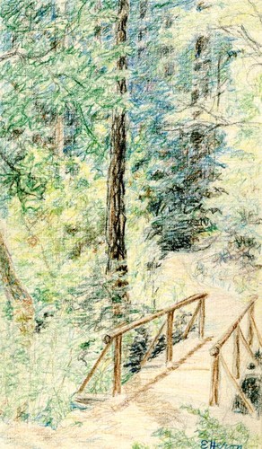 Footbridge in forest