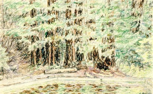 Sketch of forest