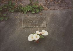 Lockwood family plot, Cypress Hill Cemetery, Petaluma, California, April 1990
