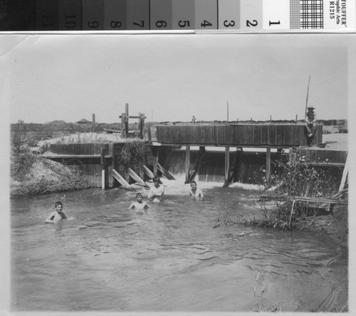 Boys swim in a canal of the Turlock Irrigation District, circa 1925