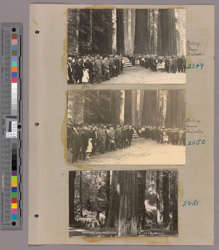 Album page with photographs of Bolling Grove dedication, Humboldt Redwoods State Park