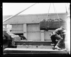 Group of stevedores unloading bananas to refrigerator cars at the Los Angeles Harbor, 1928