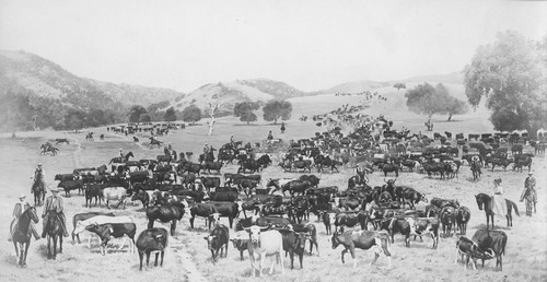 Photograph of canvas "Rodeo on the Donne Ranch," by Andrew P. Hill