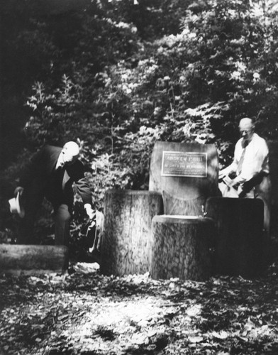 Rededication of the Andrew P. Hill fountain in the Big Basin Redwoods State Park