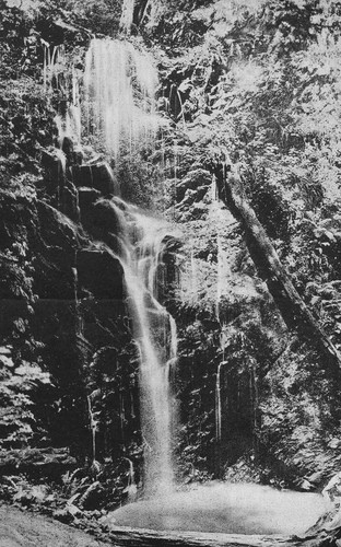 Berry Creek Falls