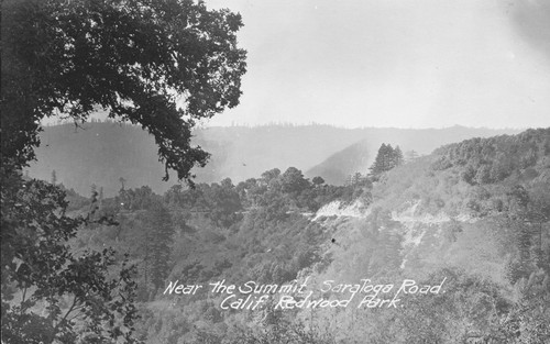 Near the summit, Saratoga Road, Calif. Redwood Park