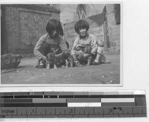 Orphans with quintuplet puppies at Erbadan, China, 1940