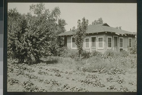 #222, Cottage & Garden farm laborer's allot. K. Mrs. Campbell Schooling