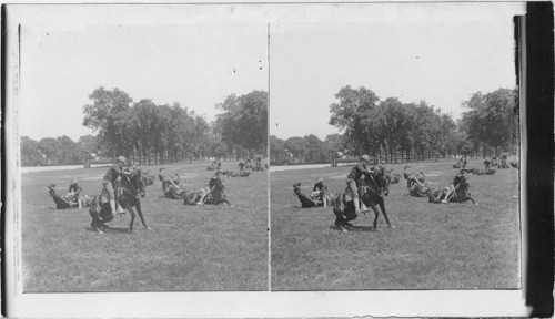 Cavalry Drill at West Point, N.Y
