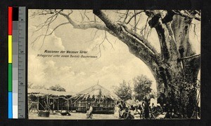 Village gathering beneath a baobab tree, Congo, ca.1920-1940