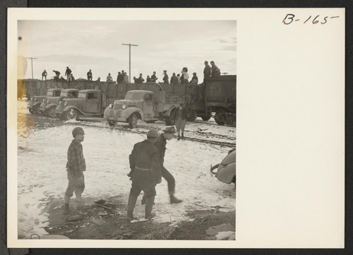 Evacuee workers unload coal at Staley Junction, which is the rail head for this center. This coal is used by the residents during the extremely cold winters which northern California offers. Photographer: Stewart, Francis Newell, California