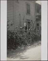 Luther Burbank among the hollyhocks, Santa Rosa, California, July 1929