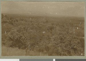 Lower Mwimbi from Chogoria, Eastern province, Kenya, ca.1924