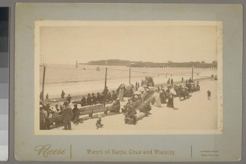 [Beach scene at Santa Cruz. Photograph by Reese. 1886. Views of Santa Cruz and Vicinity.]
