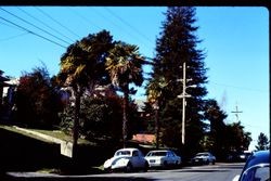 West side of the 100 block of North High Street, Sebastopol, California, January, 1980