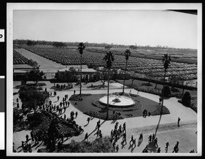 Santa Anita Racetrack, showing the entrance and parking lot, ca.1945