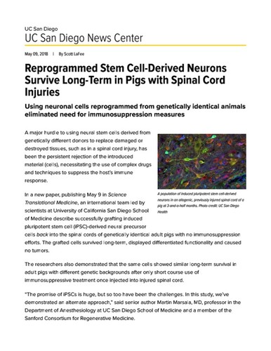 Reprogrammed Stem Cell-Derived Neurons Survive Long-Term in Pigs with Spinal Cord Injuries