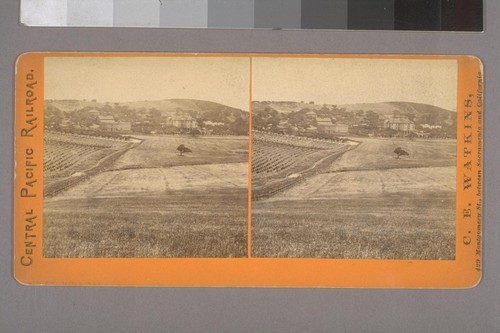 [Residence of W.C. Ralston, Belmont. Vineyard or young orchard at left.]