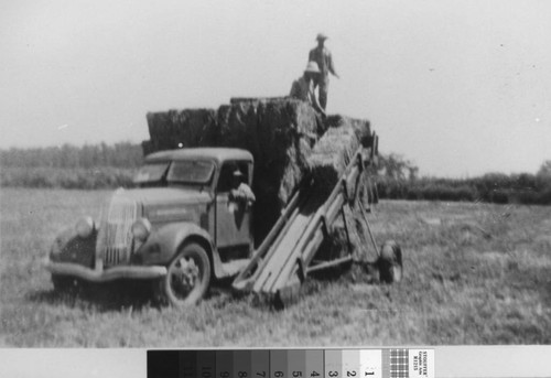 Photograph of Capaul Ranch hay loader, Meridian (Calif.)