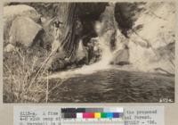 A fine pool in Dark Canyon below the proposed 4-H club camp site. San Bernardino National Forest. W. Marshall in picture. Metcalf - '36