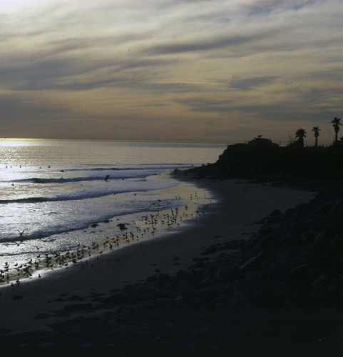 Surfers, Santa Monica Bay