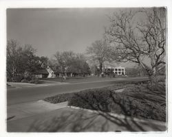 Homes on Midway Drive, Santa Rosa, California, 1960