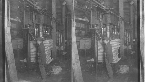 Hydraulic Press, Canada Pulp Wood Co., Fort William. Ont