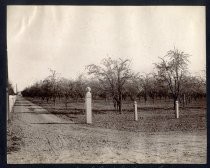 "Jos. G. Enright home orchard. S. J. L. G. Interurban Rail Road"