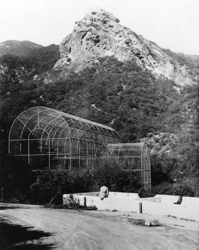 Aviary at Griffith Park