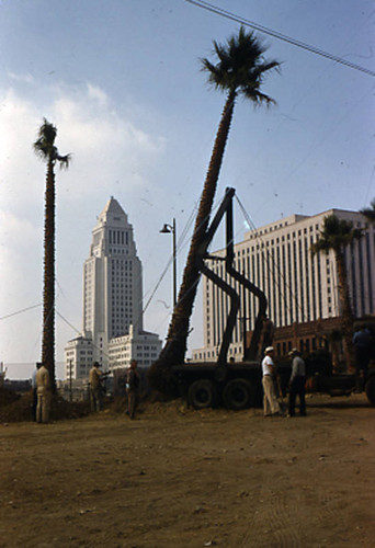 Planting palms, Plaza Park