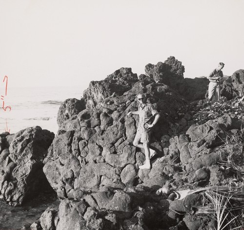 Pat Wilde and E.C. Allison. Next day the ship borne dredging party returned to Futuna and studied the pillow lavas which form only underwater and thus have been elevated like the reef