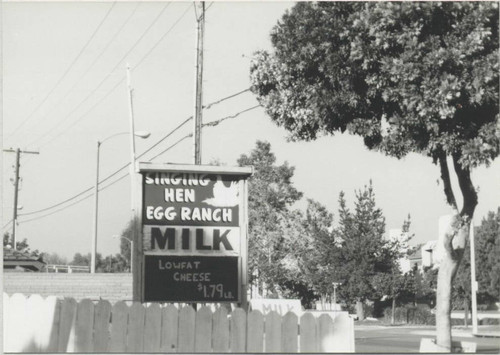 Singing Hen Egg Ranch sign, 9735 Walker (built ca. 1945), Cypress, 1989