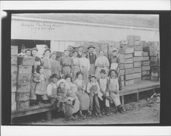 Apple packing crew, Graton, California, about 1909 or 1910
