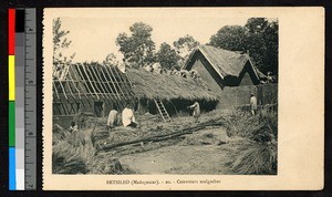 Thatchers constructing the roof of a mud-brick structure, Madagascar, ca.1920-1940
