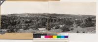 Panorama notheast. Note scattered Ponderosa pine in Digger pine-Blue oak type