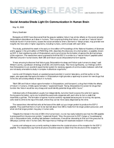 Social Amoeba Sheds Light On Communication In Human Brain