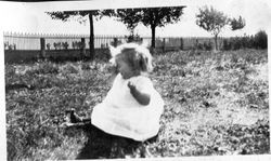 Harriet Elvy 17 months old, September 1918