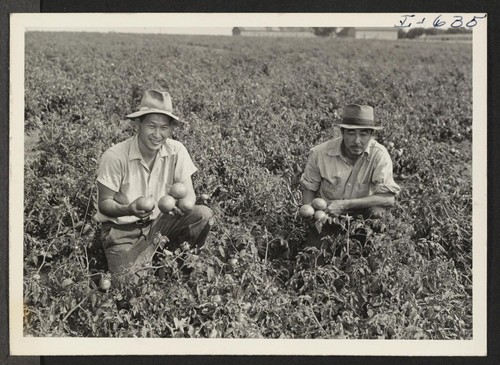 Mack Kurima and Charles Ogata, part owners and field supervisors of the Midwestern Farm Company owned by three resettlers, are