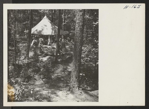 Members of a medical unit carry a casualty to the mobile dressing station set up in the deep woods surrounding