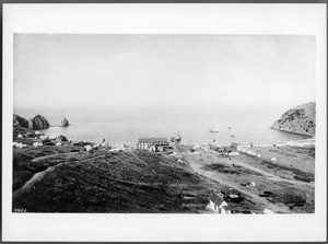 Panoramic view of Avalon harbor from the west, ca.1897