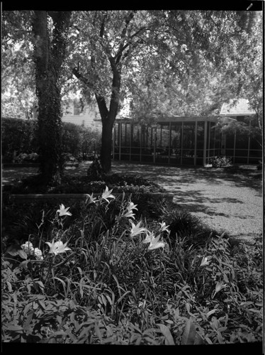 Landscaping in Dallas for Joseph E. Howland: Oviatt residence