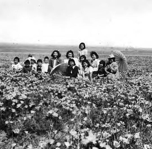 Women and Children in Poppy Field, Antelope Valley, California, 1941