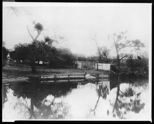 Frog pond behind the house at the Guajome Ranch in San Diego, 1870-1880