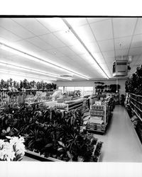 Garden shop at K-Mart discount department store on opening day