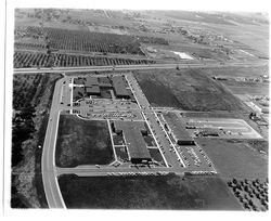 Aerial view of the County Administration Center, Santa Rosa, California, 1962