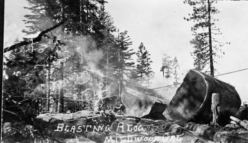 Logging, Blasting a log, early 1900's