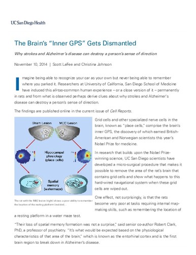 The Brain's "Inner GPS" Gets Dismantled