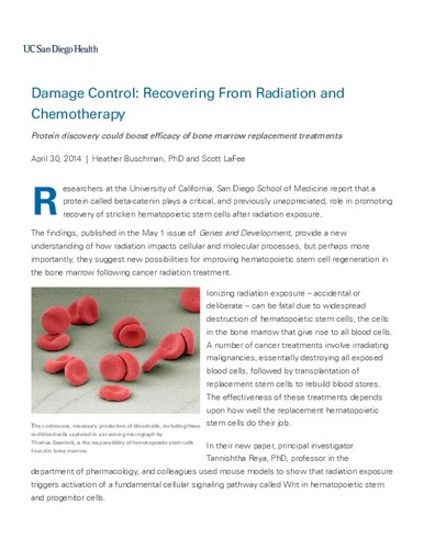 Damage Control: Recovering From Radiation and Chemotherapy